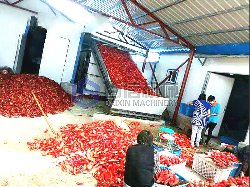 網帶辣椒烘干機