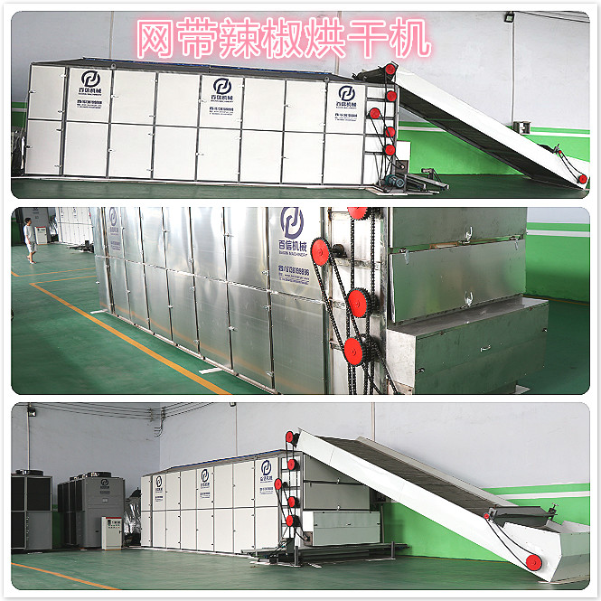網帶辣椒烘干機 網帶辣椒烘干機